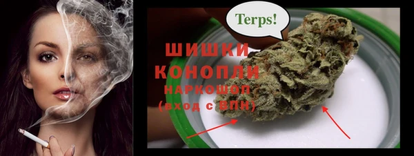 амф Вязьма
