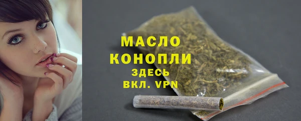 прущий лед Вяземский