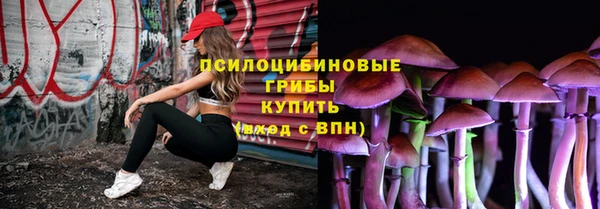 амф Вязьма