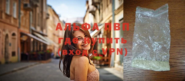 прущие грибы Вязники