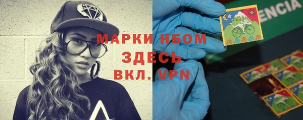 прущий лед Вяземский