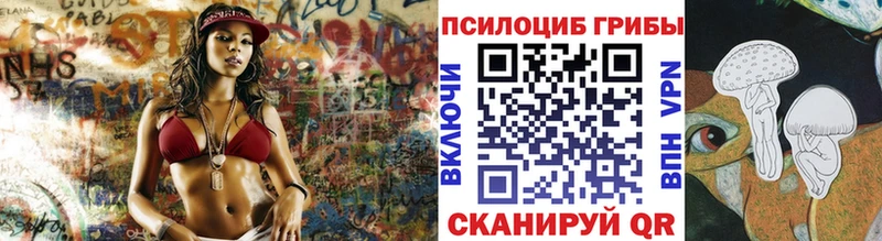 наркота  Южноуральск  Псилоцибиновые грибы мицелий 